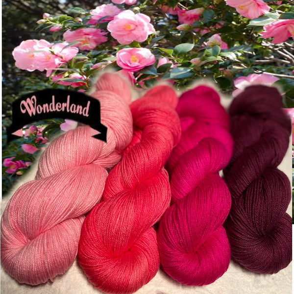 IxCHeL Fibre And Yarns 4ply Sock Yarn Geogradient Set Wonderland Captioned