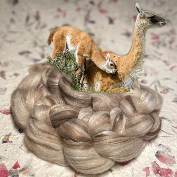 IxCHeL Fibre & Yarns Precious Tops colourway Meme View