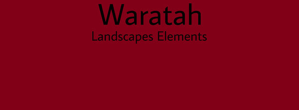 IxCHeL Fibre & Yarns Colour swatch of Waratah Landscapes Dye