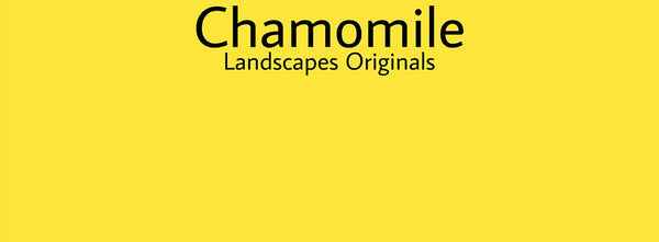 IxCHeL Fibre & Yarns Colour swatch of Chamomile Landscapes Dye