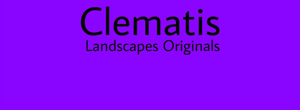 IxCHeL Fibre & Yarns Colour swatch of Clematis Landscapes Dye