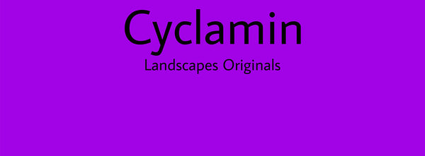 IxCHeL Fibre & Yarns Colour swatch of Cyclamin Landscapes Dye