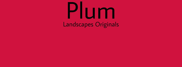 IxCHeL Fibre & Yarns Colour swatch of Plum Landscapes Dye