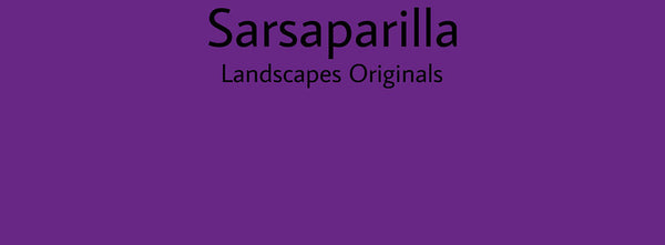 IxCHeL Fibre & Yarns Colour swatch of Sarsaparilla Landscapes Dye