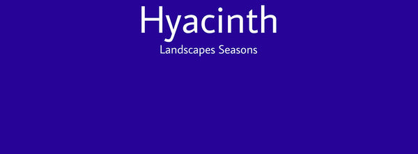 IxCHeL Fibre & Yarns Colour swatch of Hyacinth Landscapes Dye