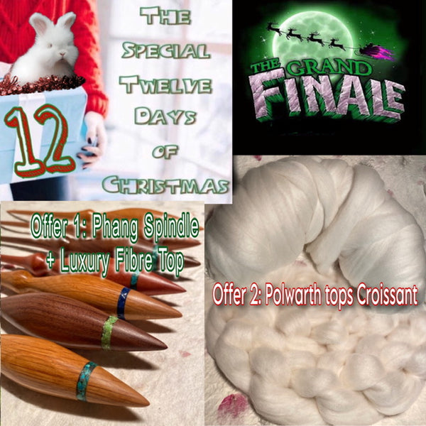 12 Days of Xmas Day 12