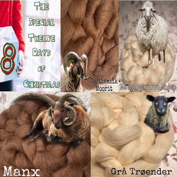 12 Days of Xmas Day 08