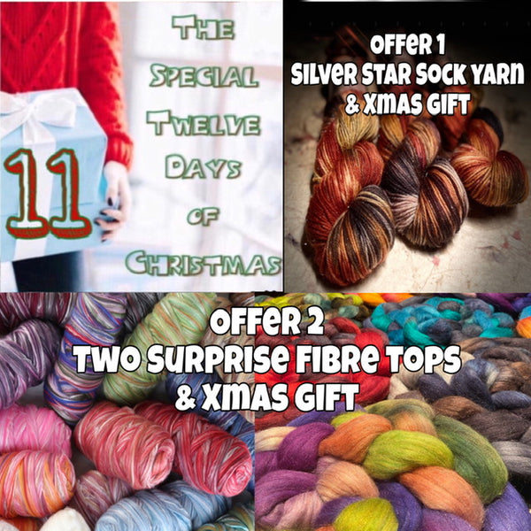 12 Days of Xmas Day 11