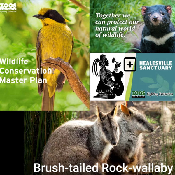 12 Days of Xmas Day 03