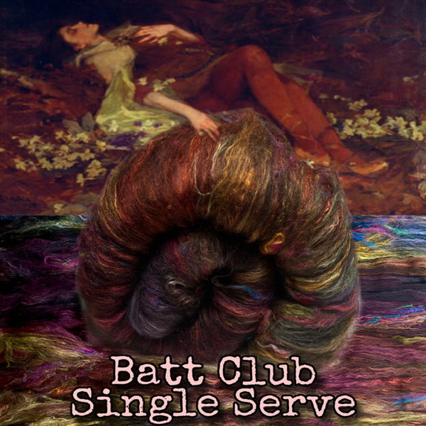 IxCHeL Fibre And Yarns Art Journey Batt Club Single Serve Poster