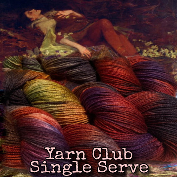 IxCHeL Fibre And Yarns Art Journey Yarn Club Single Serve Poster