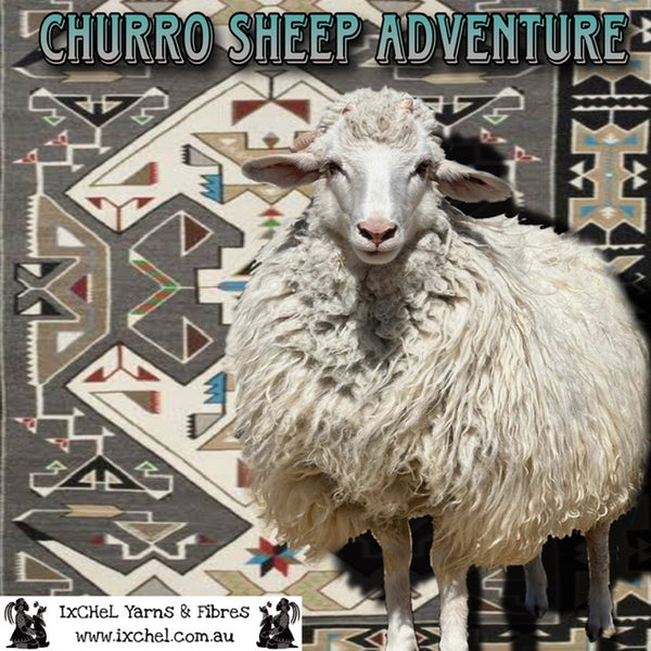 IxCHeL Fibre And Yarns Navajo Churro Tops Cover Poster