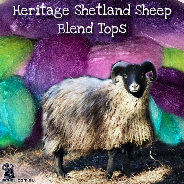 IxCHeL Fibre And Yarns Shetland Dream Tops Poster 