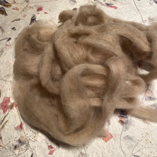 IxCHeL Fibre And Yarns Core Wool Silvers colourway Beige