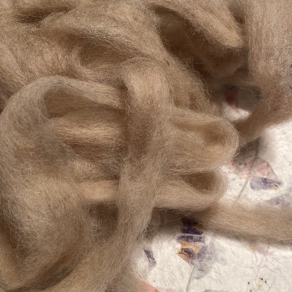 IxCHeL Fibre And Yarns Core Wool Silvers colourway Beige