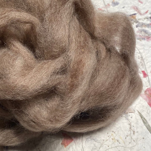 IxCHeL Fibre And Yarns Core Wool Silvers colourway Brown