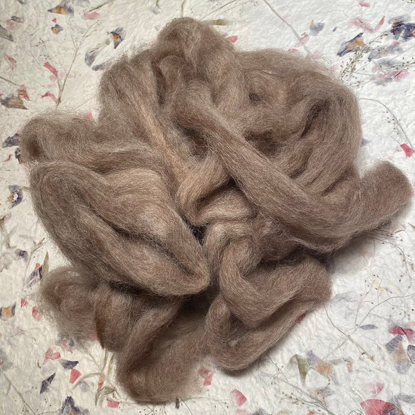 IxCHeL Fibre And Yarns Core Wool Silvers colourway Brown