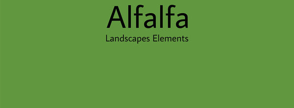 IxCHeL Fibre And Yarns Colour swatch of Alfalfa Landscapes Dye