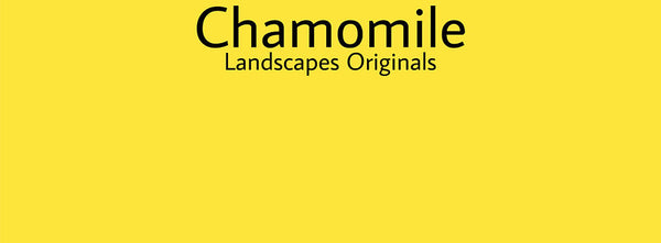 IxCHeL Fibre And Yarns Colour swatch of Chamomile Landscapes Dye