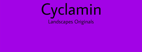 IxCHeL Fibre And Yarns Colour swatch of Cyclamin Landscapes Dye