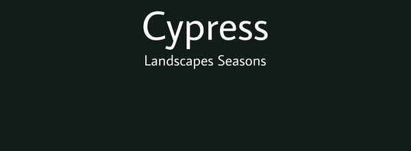 IxCHeL Fibre And Yarns Colour swatch of Cypress Landscapes Dye