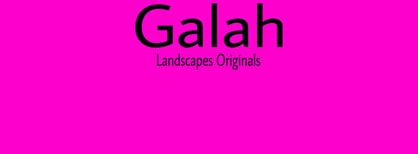 IxCHeL Fibre And Yarns Colour swatch of Galah Landscapes Dye