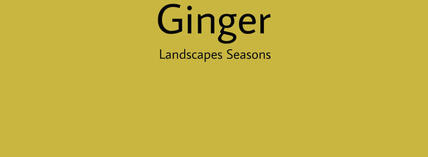 IxCHeL Fibre And Yarns Colour swatch of Ginger Landscapes Dye