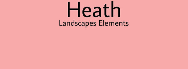 IxCHeL Fibre And Yarns Colour swatch of Heath Landscapes Dye