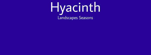 IxCHeL Fibre And Yarns Colour swatch of Hyacinth Landscapes Dye