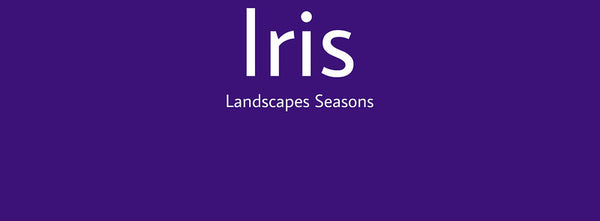 IxCHeL Fibre And Yarns Colour swatch of Iris Landscapes Dye