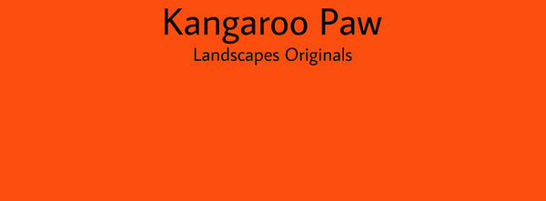 IxCHeL Fibre And Yarns Colour swatch of Kangaroo Paw Landscapes Dye