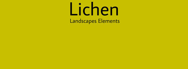 IxCHeL Fibre And Yarns Colour swatch of Lichen Landscapes Dye