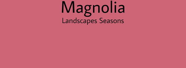 IxCHeL Fibre And Yarns Colour swatch of Magnolia Landscapes Dye