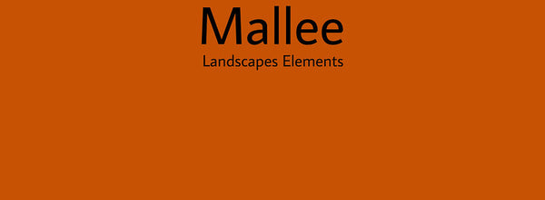 IxCHeL Fibre And Yarns Colour swatch of Mallee Landscapes Dye