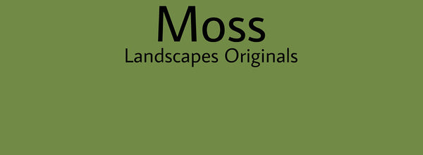 IxCHeL Fibre And Yarns Colour swatch of Moss Landscapes Dye