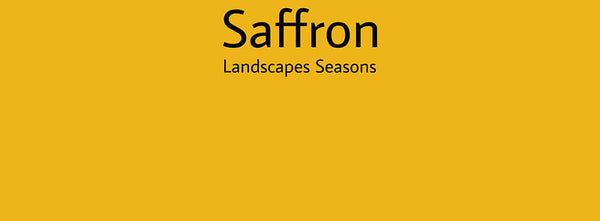 IxCHeL Fibre And Yarns Colour swatch of Saffron Landscapes Dye