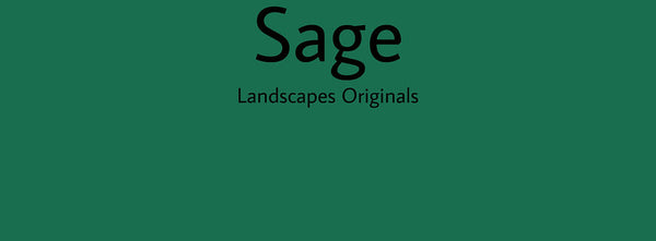 IxCHeL Fibre And Yarns Colour swatch of Sage Landscapes Dye
