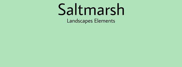 IxCHeL Fibre And Yarns Colour swatch of Saltmarsh Landscapes Dye