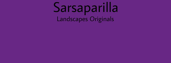 IxCHeL Fibre And Yarns Colour swatch of Sarsaparilla Landscapes Dye