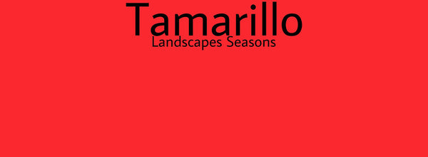 IxCHeL Fibre And Yarns Colour swatch of Tamarillo Landscapes Dye
