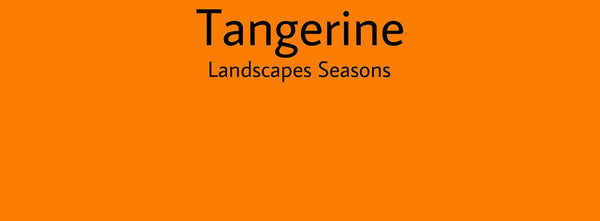 IxCHeL Fibre And Yarns Colour swatch of Tangerine Landscapes Dye