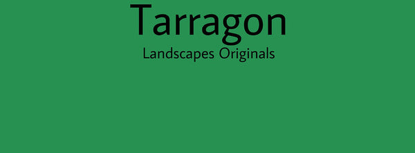 IxCHeL Fibre And Yarns Colour swatch of Tarragon Landscapes Dye