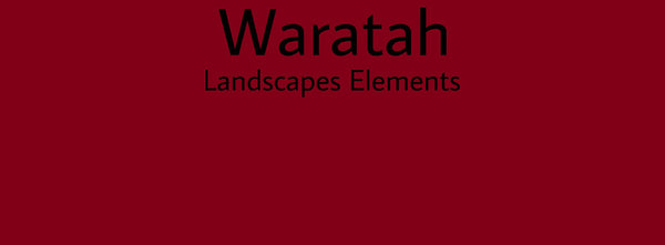 IxCHeL Fibre And Yarns Colour swatch of Waratah Landscapes Dye