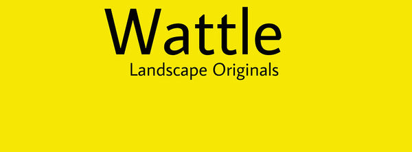 IxCHeL Fibre And Yarns Colour swatch of Wattle Landscapes Dye