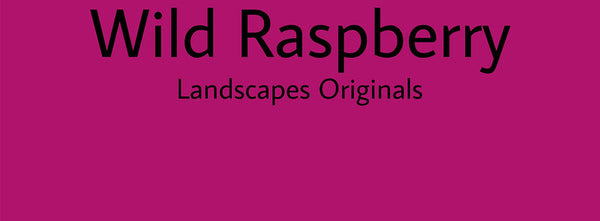 IxCHeL Fibre And Yarns Colour swatch of Wild Raspberry Landscapes Dye