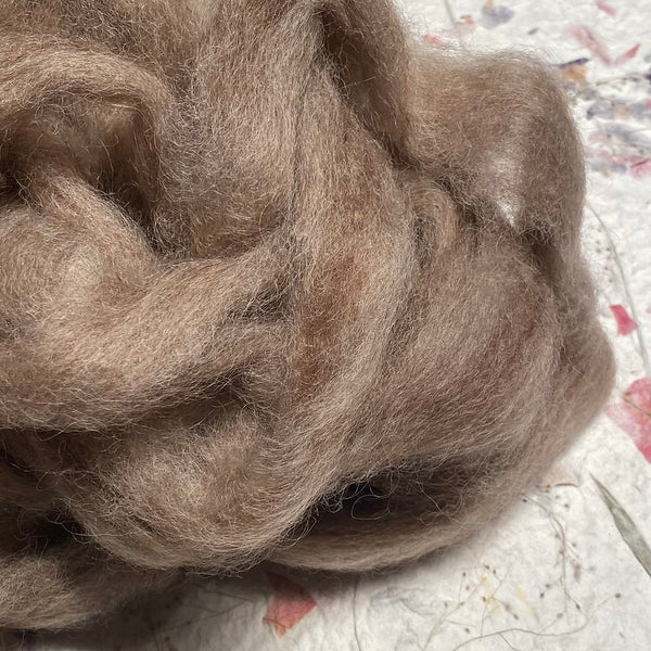 IxCHeL Fibre & Yarns Core Wool Silvers colourway Brown