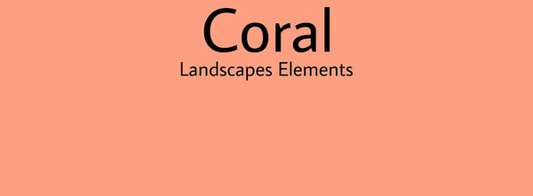 IxCHeL Fibre & Yarns Colour swatch of Coral Landscapes Dye