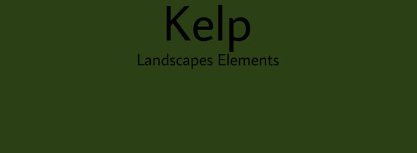 IxCHeL Fibre & Yarns Colour swatch of Kelp Landscapes Dye