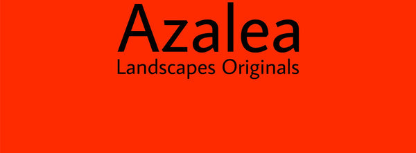 IxCHeL Fibre & Yarns Colour swatch of Azalea Landscapes Dye