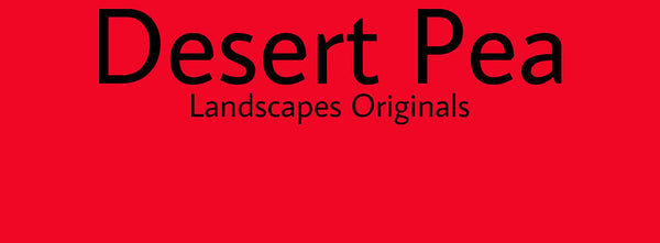 IxCHeL Fibre & Yarns Colour swatch of Desert Pea Landscapes Dye
